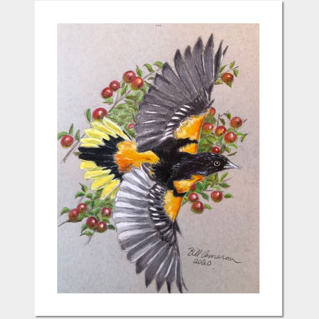 Baltimore Oriole Wall Art by Bill Cameron Fine Art